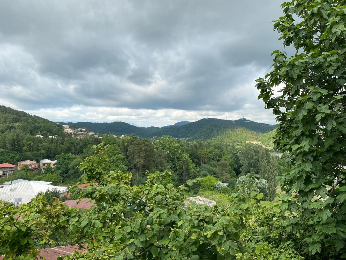 Guest House Royal Comfort With Terrace Кутаїсі Екстер'єр фото